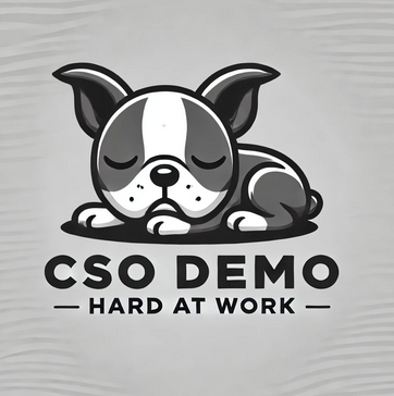 CSO Demo logo, site under maintenance